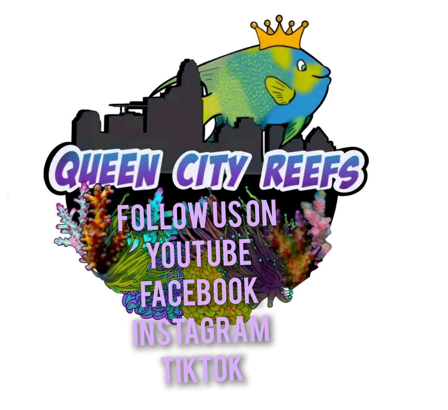 WYSIWYG - Aussie Lemon Lime Acanthophyllia (L)