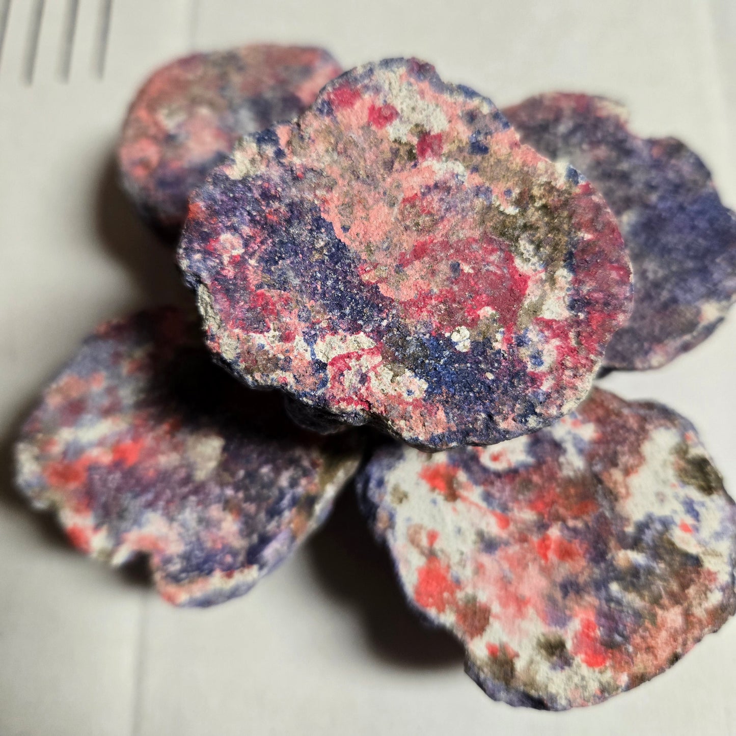 6-Pack EcoQuaria EcoRock Coral Frag Plug Holder/Mount