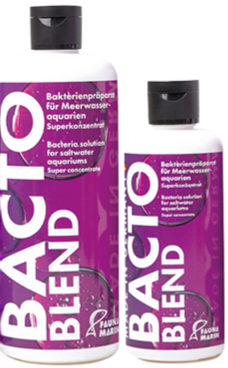 Bacto Blend