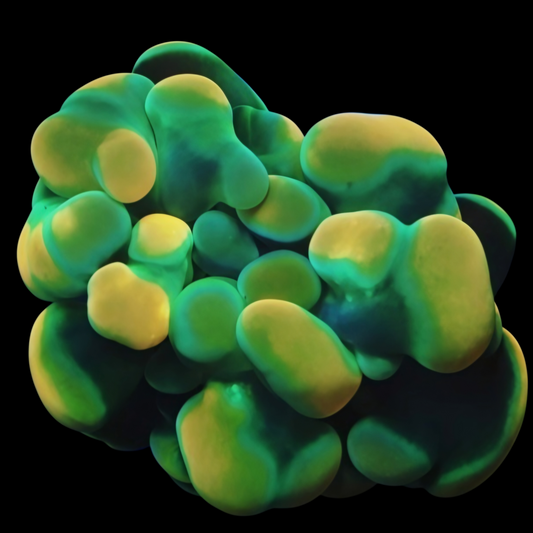 WYSIWYG Goldy Locks Branch Hammer LPS Frag