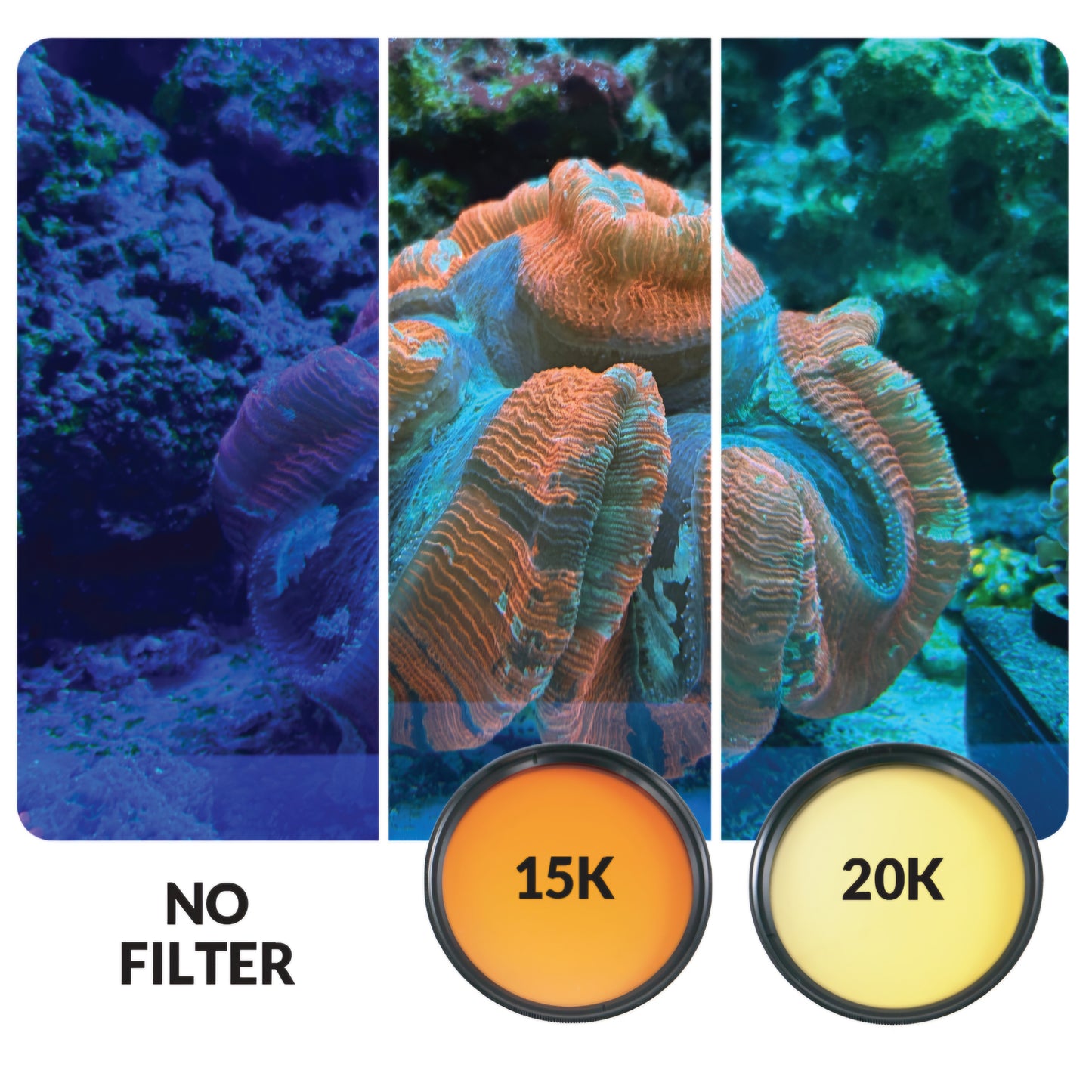 Mobile Phone Stackable Filter Lens Kit