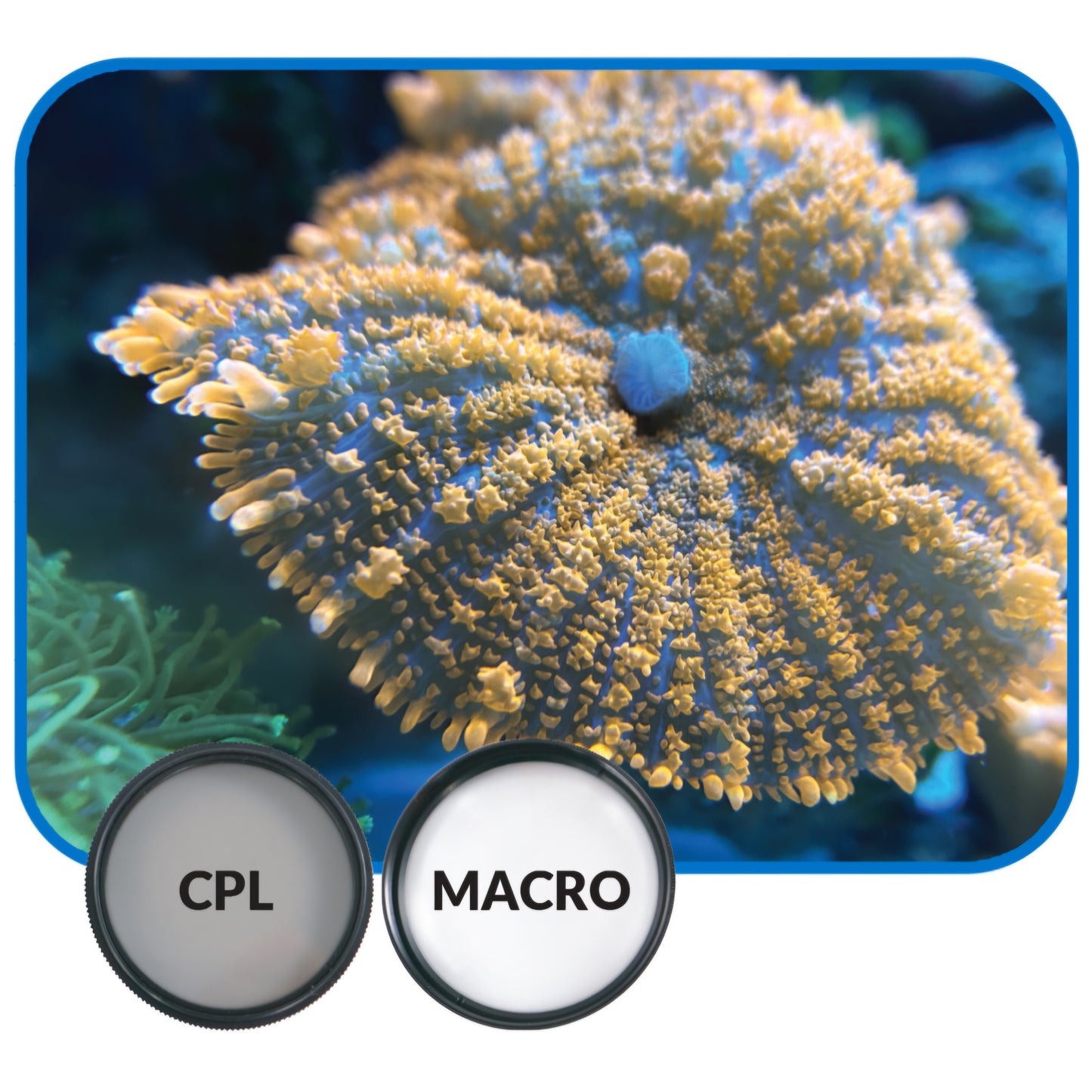 Mobile Phone Stackable Filter Lens Kit