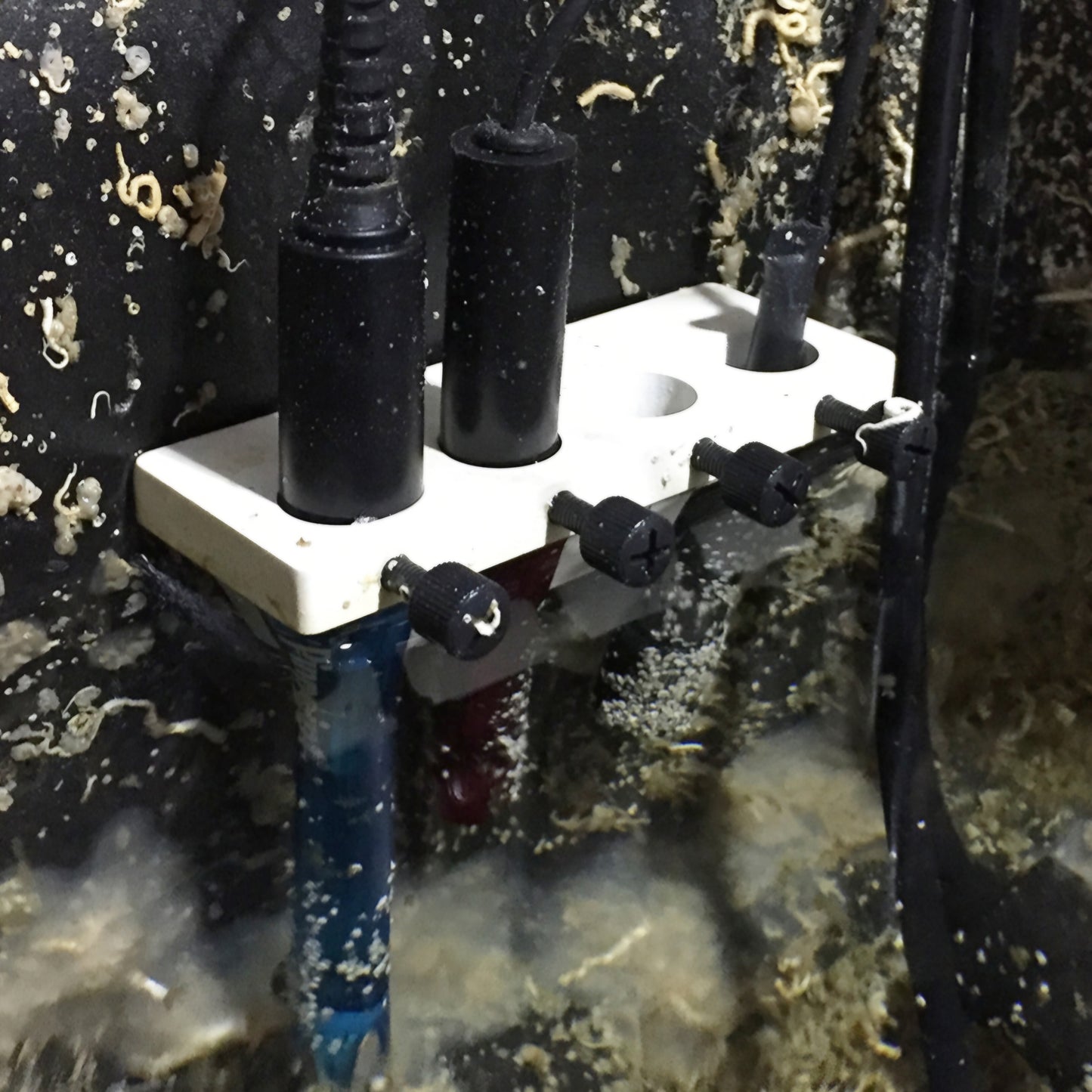 4-Probe Magnetic Holder