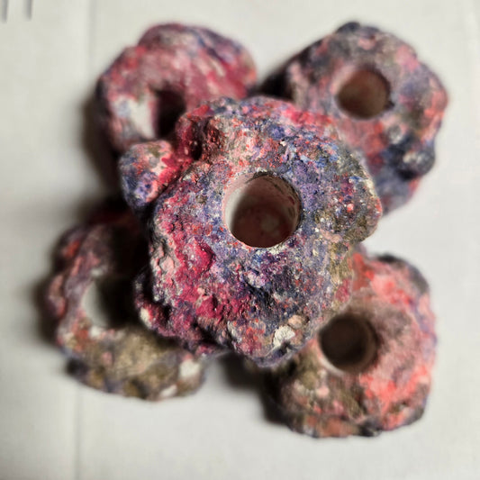 6-Pack EcoQuaria EcoRock Coral Frag Plug Holder/Mount
