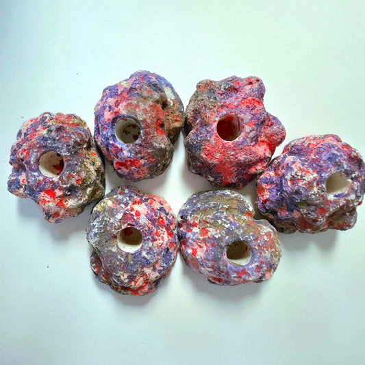6-Pack EcoQuaria EcoRock Coral Frag Plug Holder/Mount